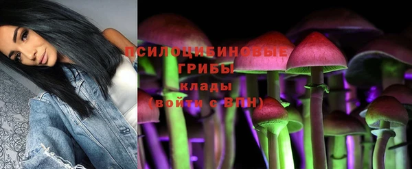 дживик Вяземский