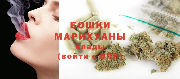 крисы Вязьма