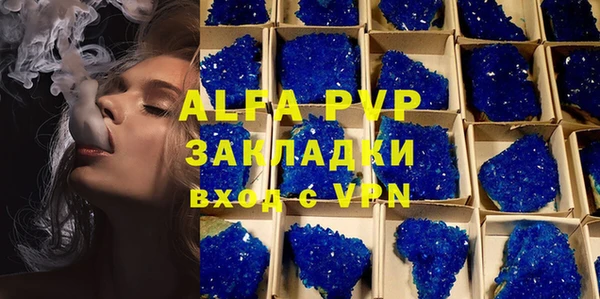 крисы Вязьма