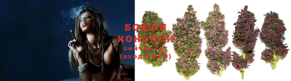 дмт Касимов