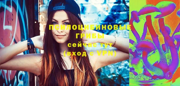дживик Вяземский