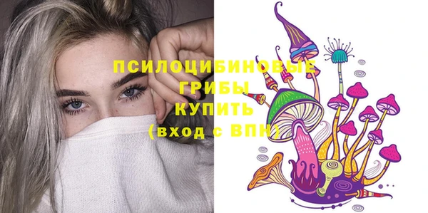 сатива Вязники