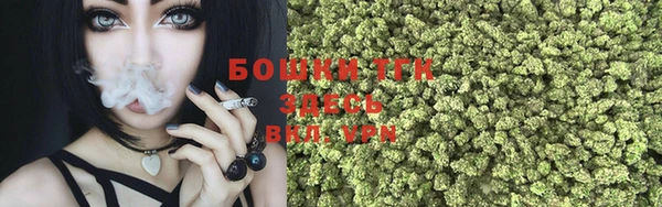 дживик Вяземский