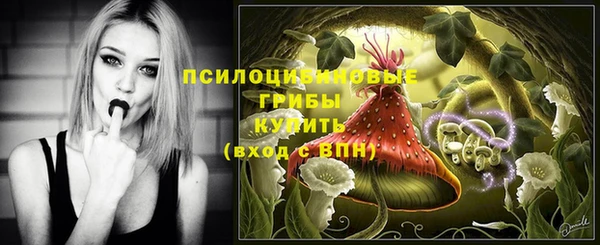 крисы Вязьма