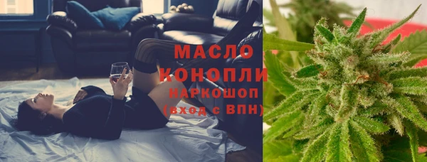 крисы Вязьма