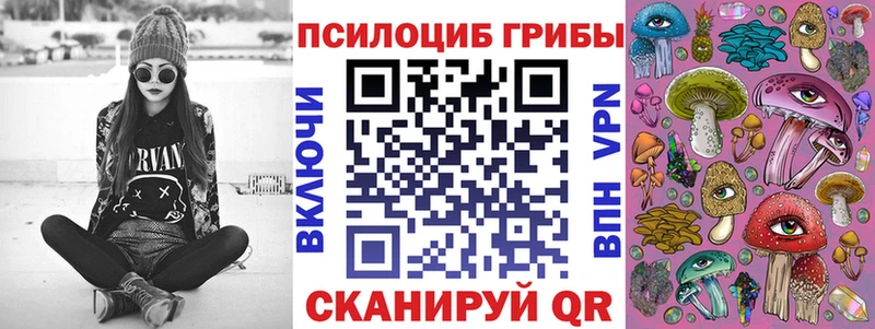 Псилоцибиновые грибы прущие грибы  купить наркоту  Камышлов 